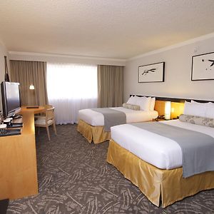 Executive Queen Room Two Queen Beds